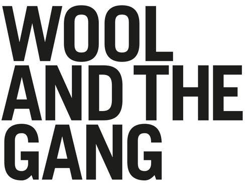 Wool and the Gang