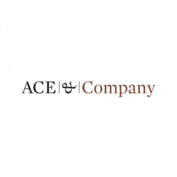 ACE & Company: Two New Partners, Executive Team Strengthened